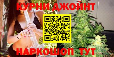 сатива Коммунар