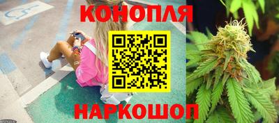 сатива Коммунар
